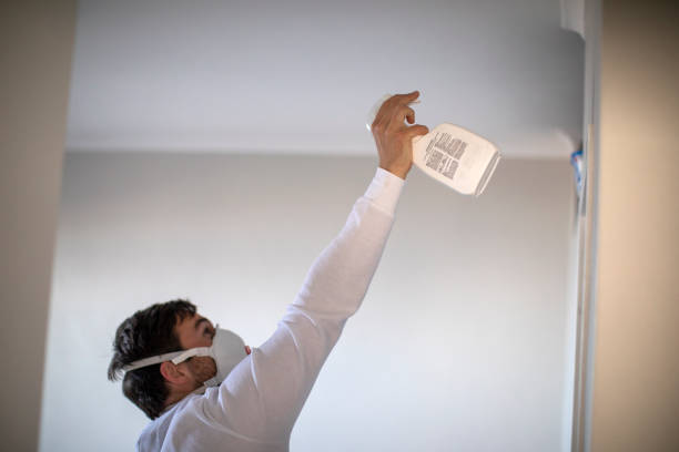 Best Mold Remediation for Specific Building Types in Port Salerno, FL